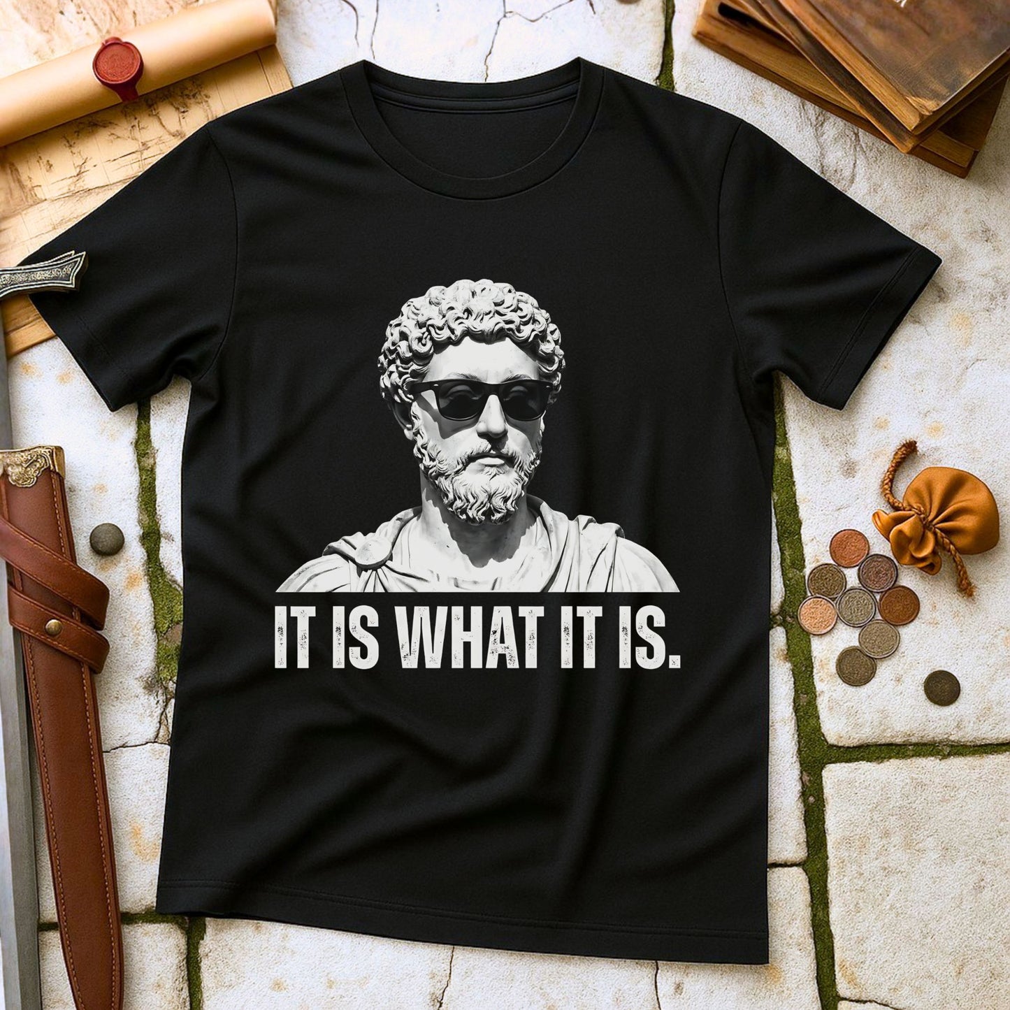 Marcus Aurelius Stoic Philosophy T-Shirt | Roman Emperor Meditations Stoicism Tee | Ancient History Gift for Philosophers