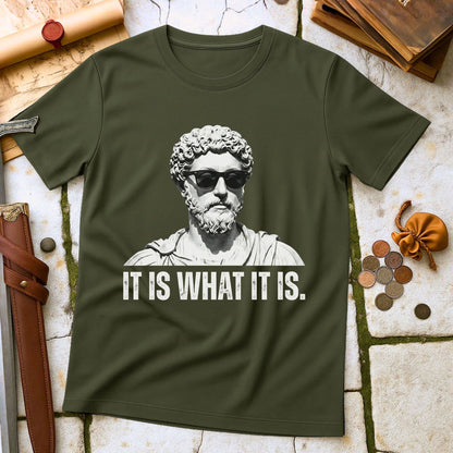 Marcus Aurelius Stoic Philosophy T-Shirt | Roman Emperor Meditations Stoicism Tee | Ancient History Gift for Philosophers