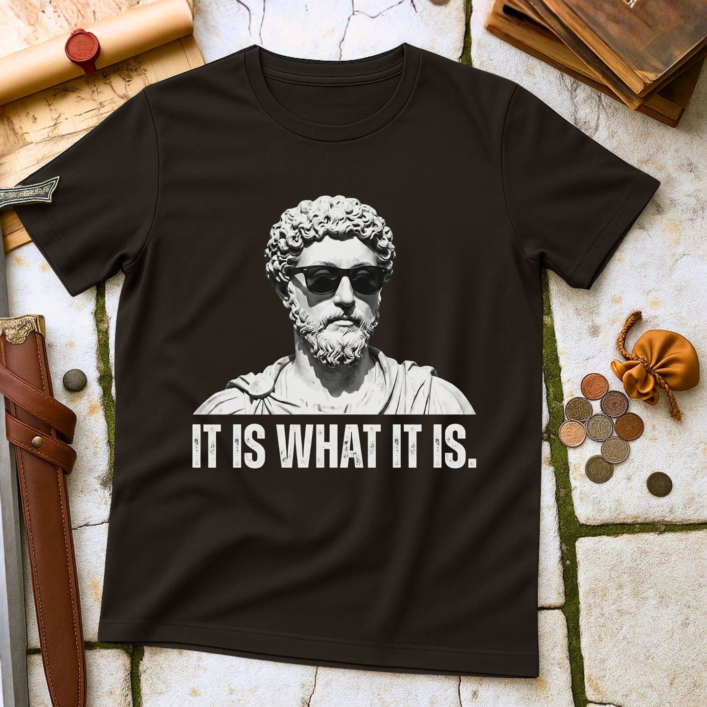 Marcus Aurelius Stoic Philosophy T-Shirt | Roman Emperor Meditations Stoicism Tee | Ancient History Gift for Philosophers