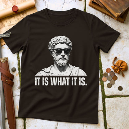 Marcus Aurelius Stoic Philosophy T-Shirt | Roman Emperor Meditations Stoicism Tee | Ancient History Gift for Philosophers